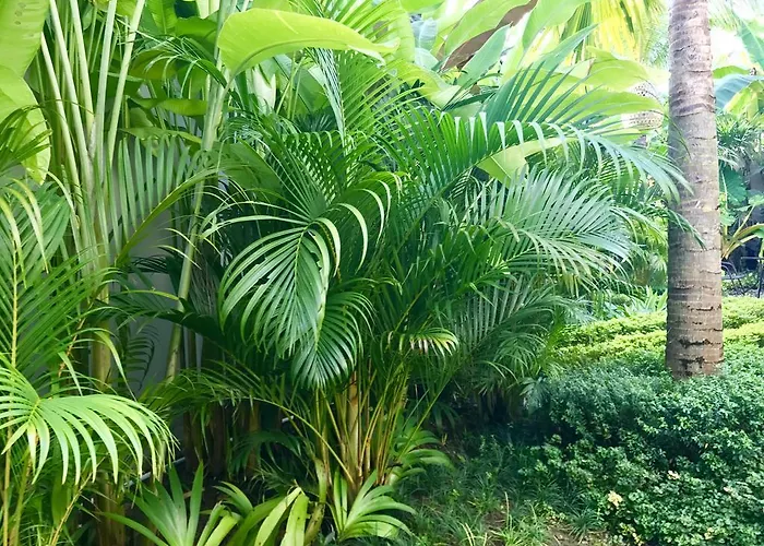 Mossca Mooi Ubud